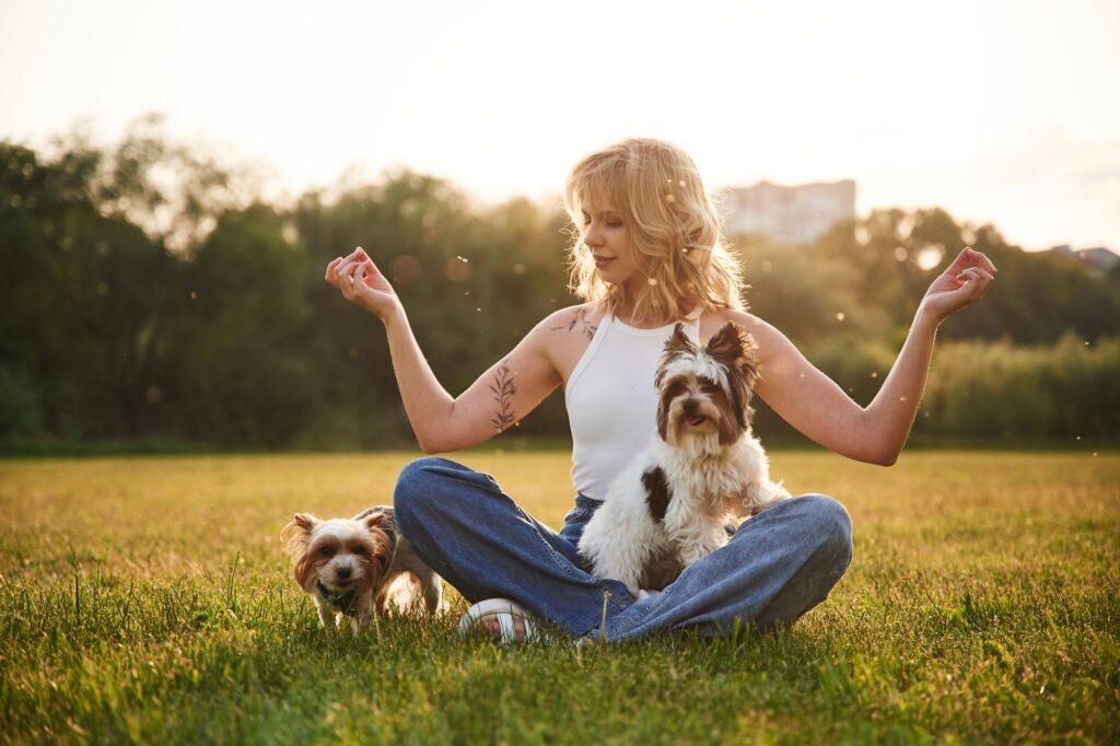 sitting in yoga lotus pose young woman is with two little dogs on the summer field