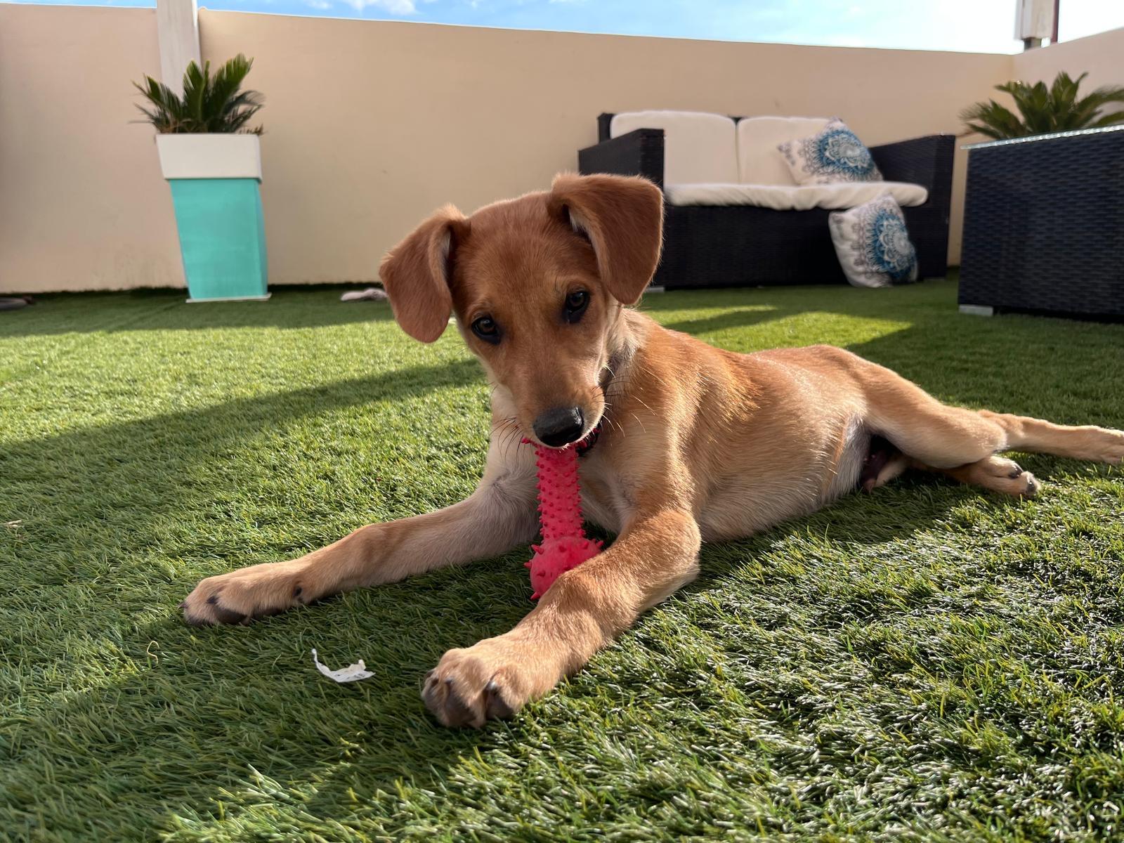 02408cd7-05f9-462b-9bd5-2287aa98d80e