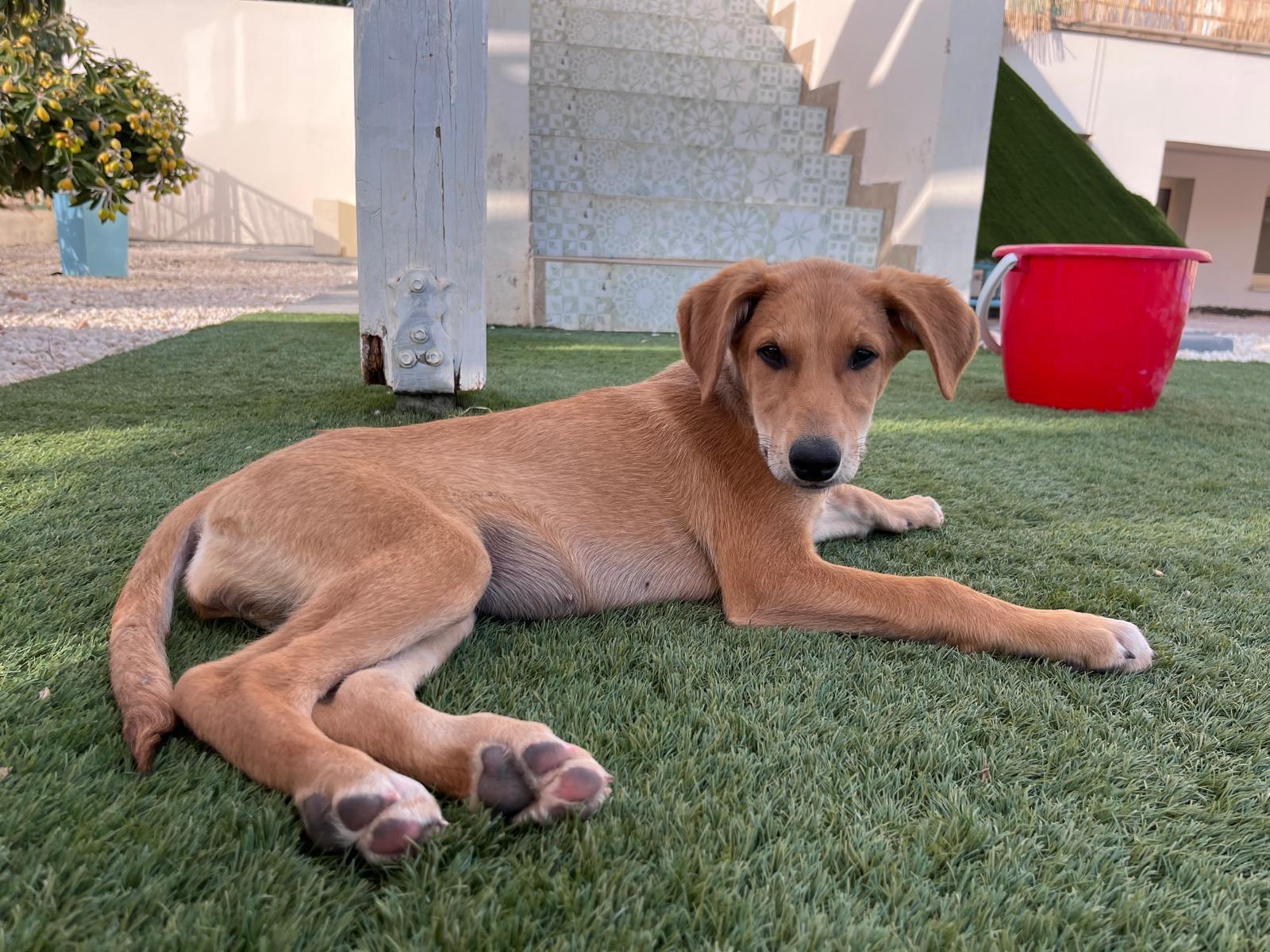 5ae90419-3474-450d-a33b-d6159cfb7c35