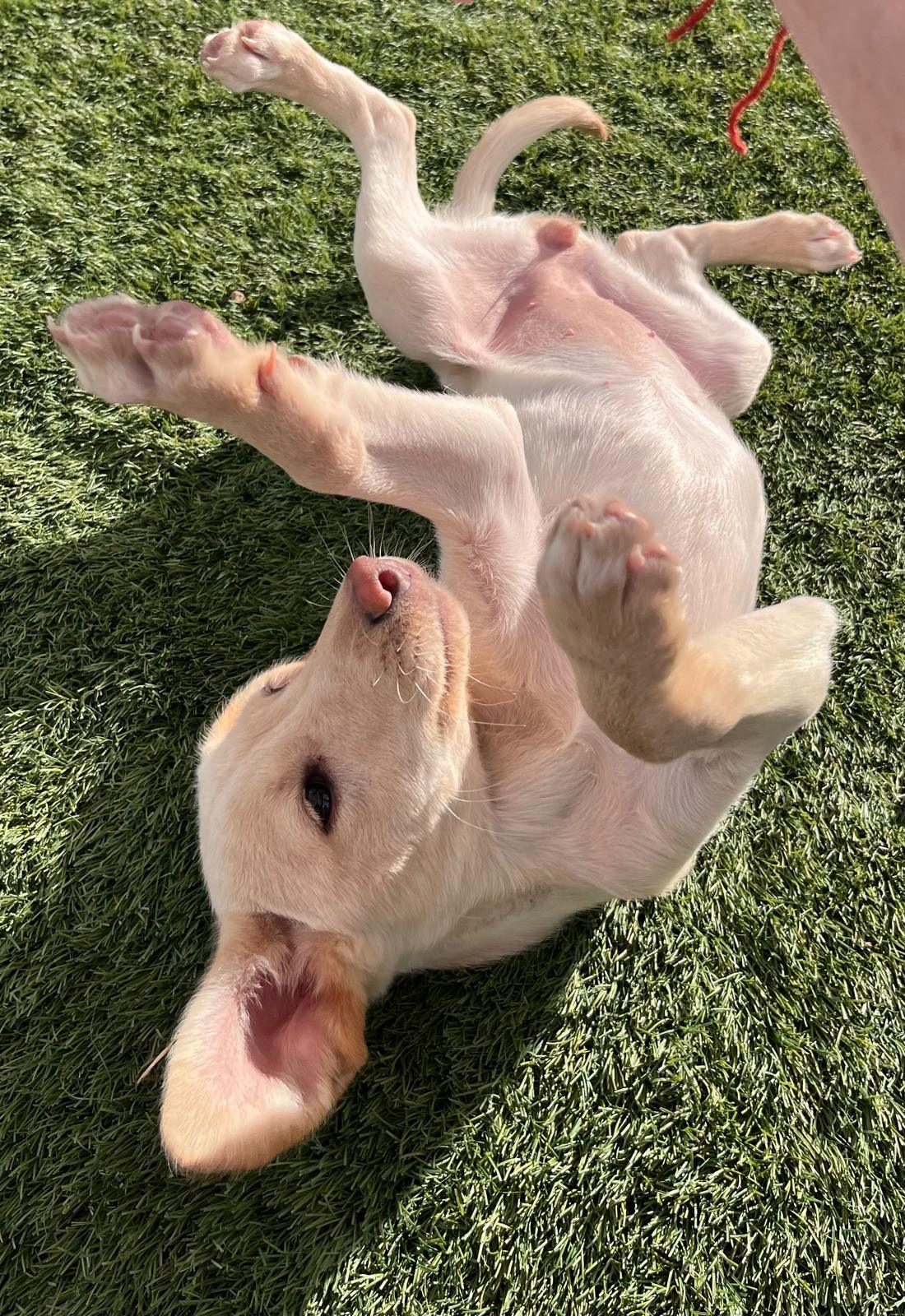 68d9aec7-517c-49af-8e79-d10bae0364cc