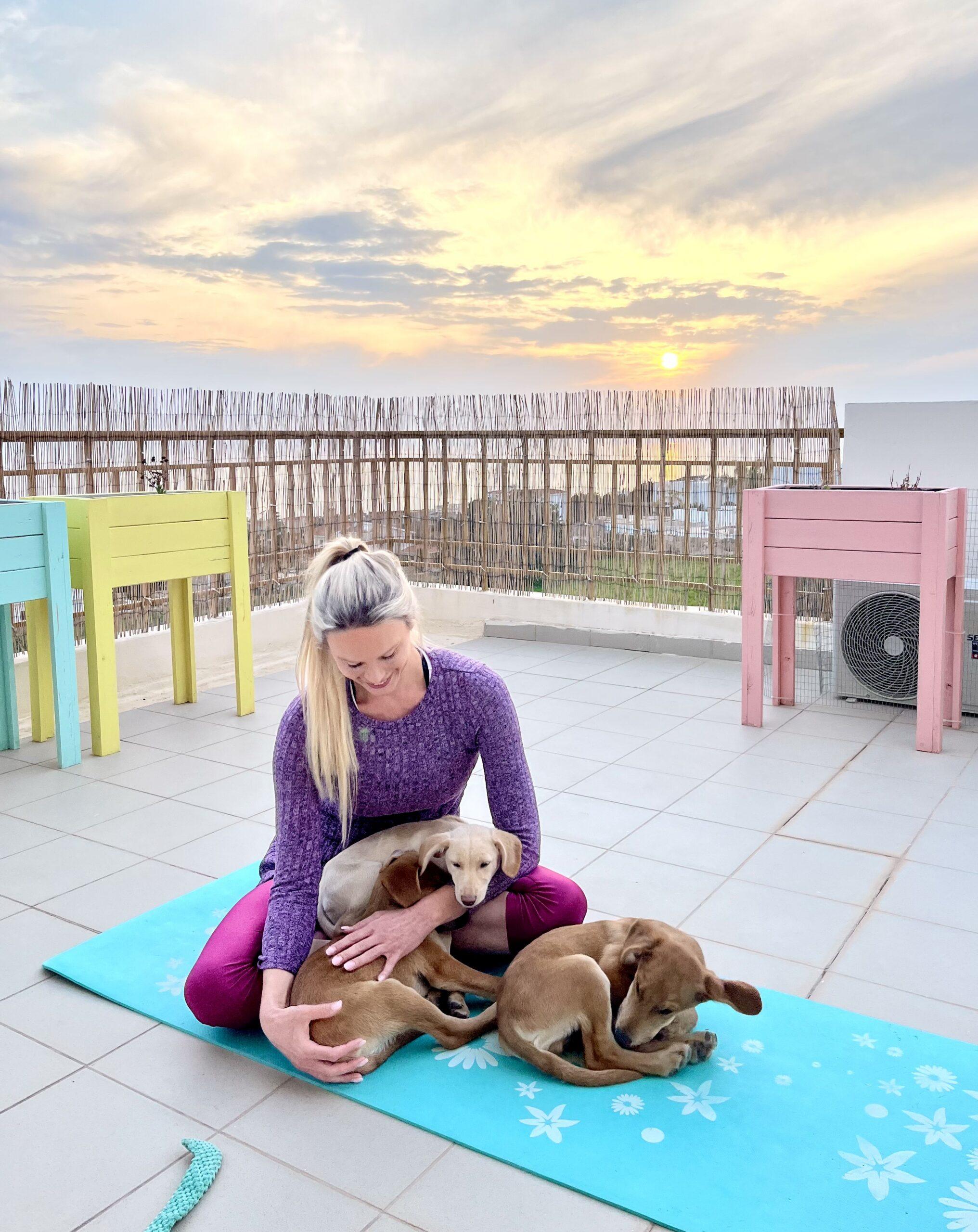 Puppy Yoga Retreat in Cyprus